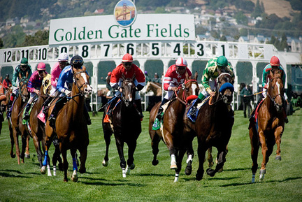 Golden Gate fields Horse Racing.